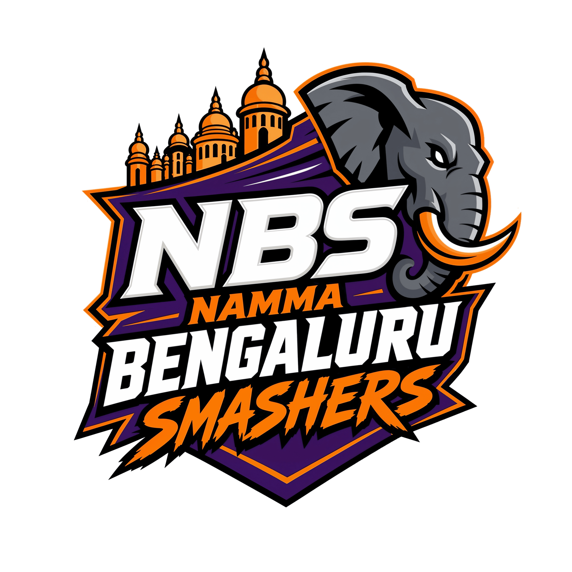 Namma Bengaluru Smashers logo